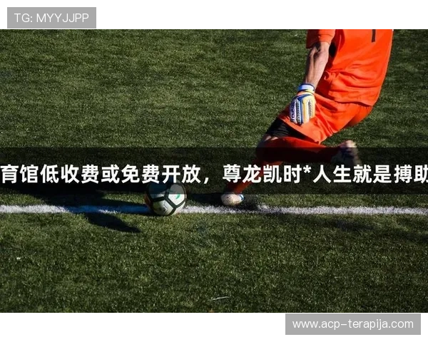 尊龙凯时体育：打造专业化、多元化的体育赛事体验