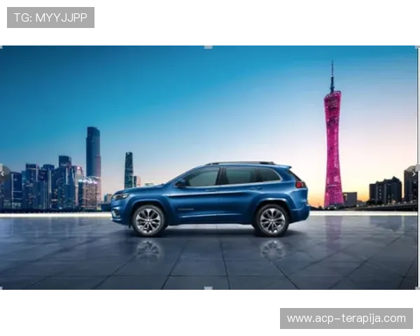 尊龙d88用现最新版本介绍及安全使用指南帮助玩家轻松上手