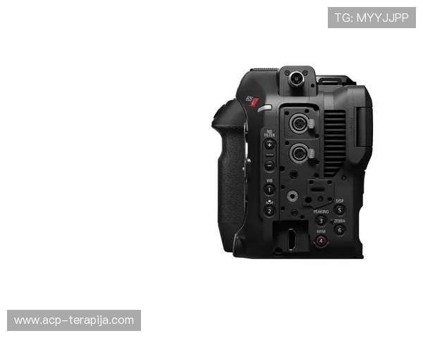 尊龙z6ag旗舰厅多样化的游戏玩法介绍,助你轻松掌握各种热门娱乐模式 尊龙z6ag旗舰厅多样化的游戏玩法介绍,助你轻松掌握各种热门娱乐模式