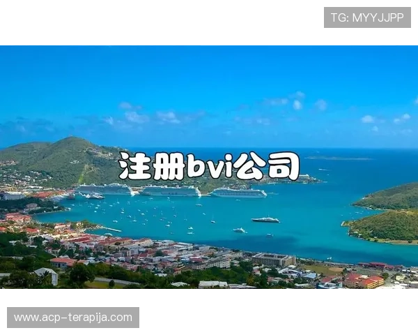 解密尊龙凯时官方网页的使用流程与注册步骤